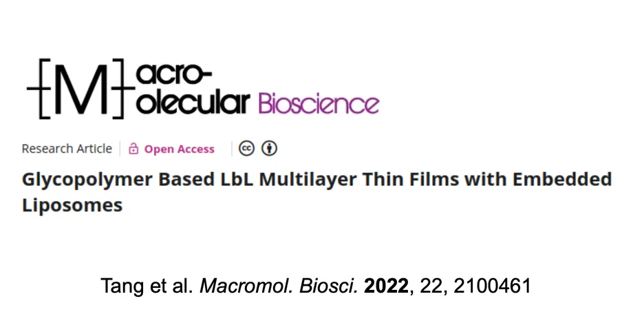 Glycopolymer Based LbL Multilayer Thin Films with Embedded Liposomes