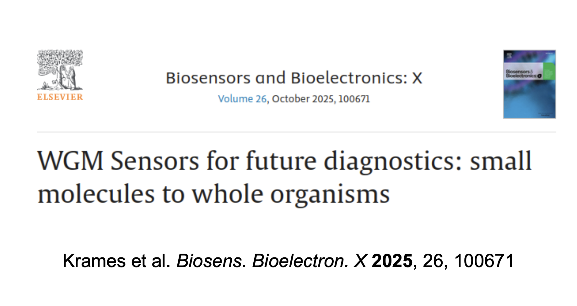 WGM Sensors for future diagnostics: small molecules to whole organisms